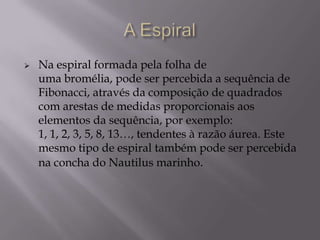 A Espiral....................................................................13