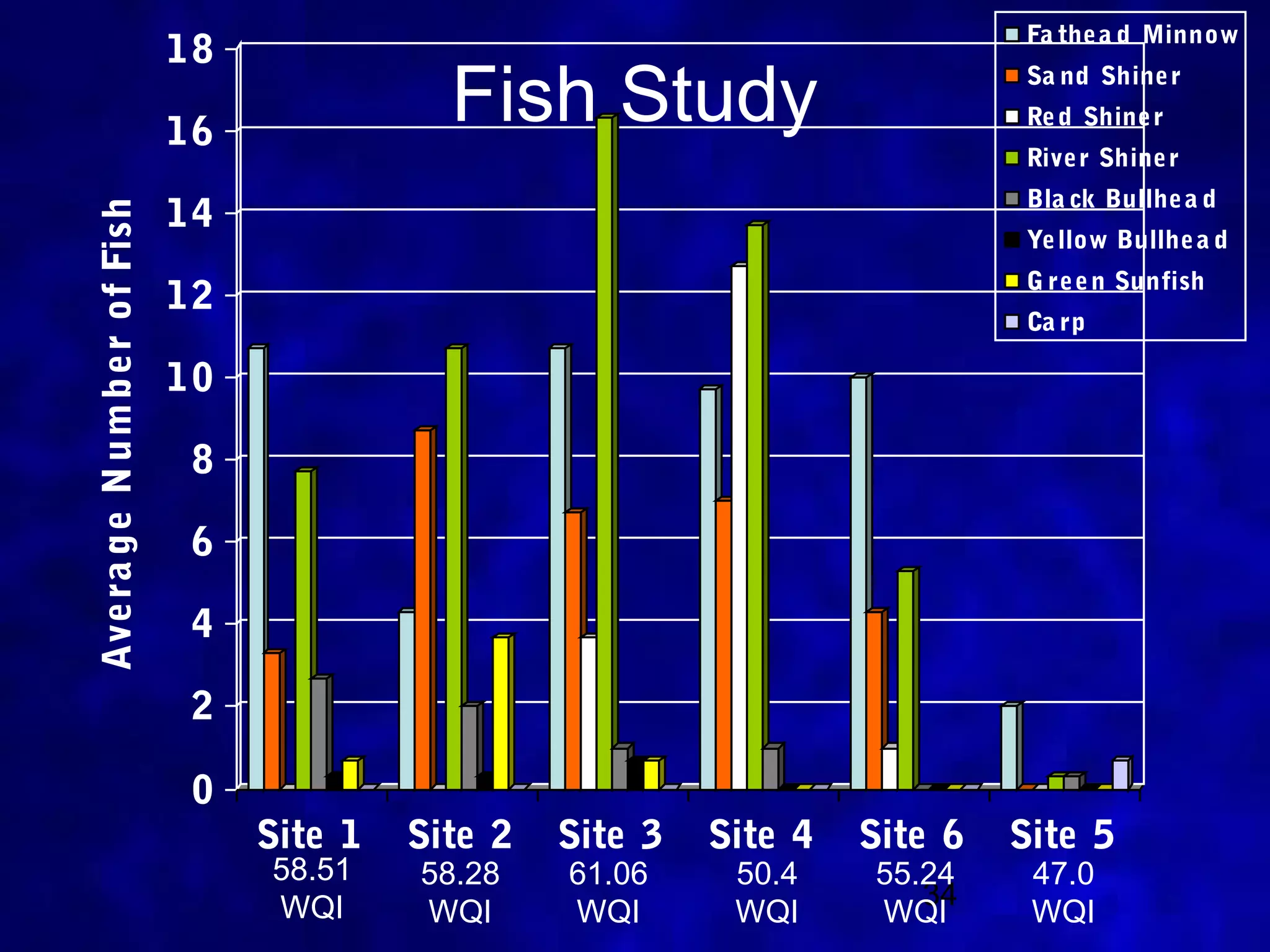 Fa the a d Minnow
                            18

                            16
                                            Fish Study                        Sa nd Shine r
                                                                              Re d Shine r
                                                                              Rive r Shine r
                                                                              Bla ck Bullhe a d
                            14
Avera ge N um ber of Fish


                                                                              Ye llow Bullhe a d
                                                                              G re e n Sunfish
                            12
                                                                              Ca rp

                            10

                             8

                             6

                             4

                             2

                             0
                                 Site 1   Site 2   Site 3   Site 4   Site 6   Site 5
                                 58.51    58.28    61.06     50.4    55.24     47.0
                                 WQI                                    34
                                          WQI      WQI       WQI     WQI       WQI
 