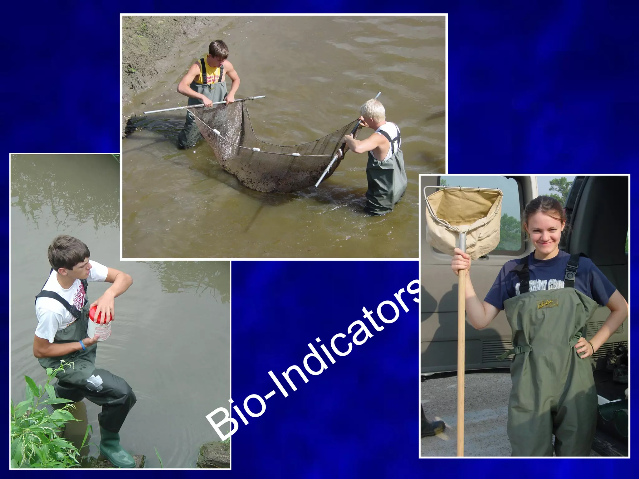 tors
       di ca
   - In
Bio
                   37
 