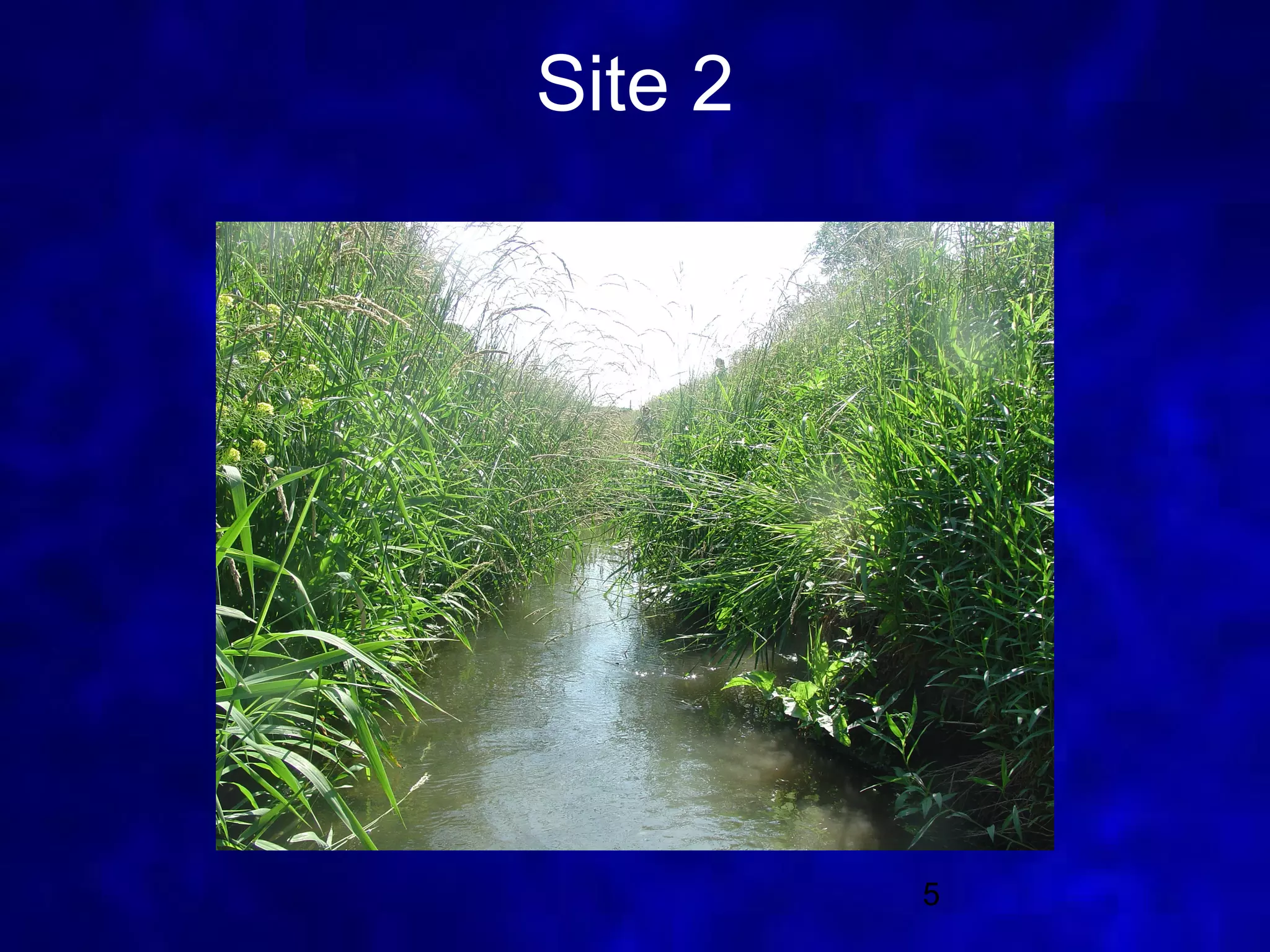 Site 2




         5
 