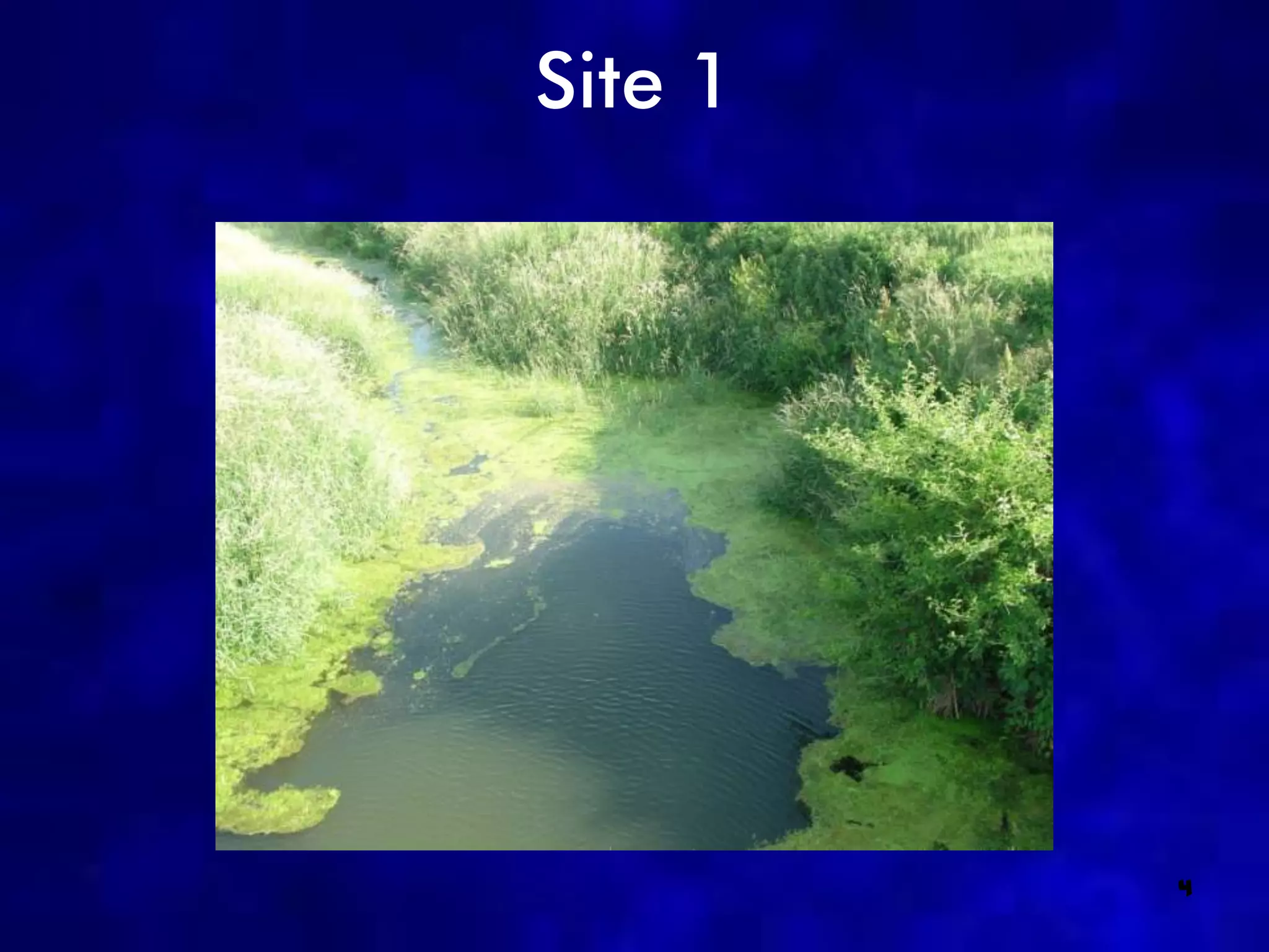 Site 1




         4
 