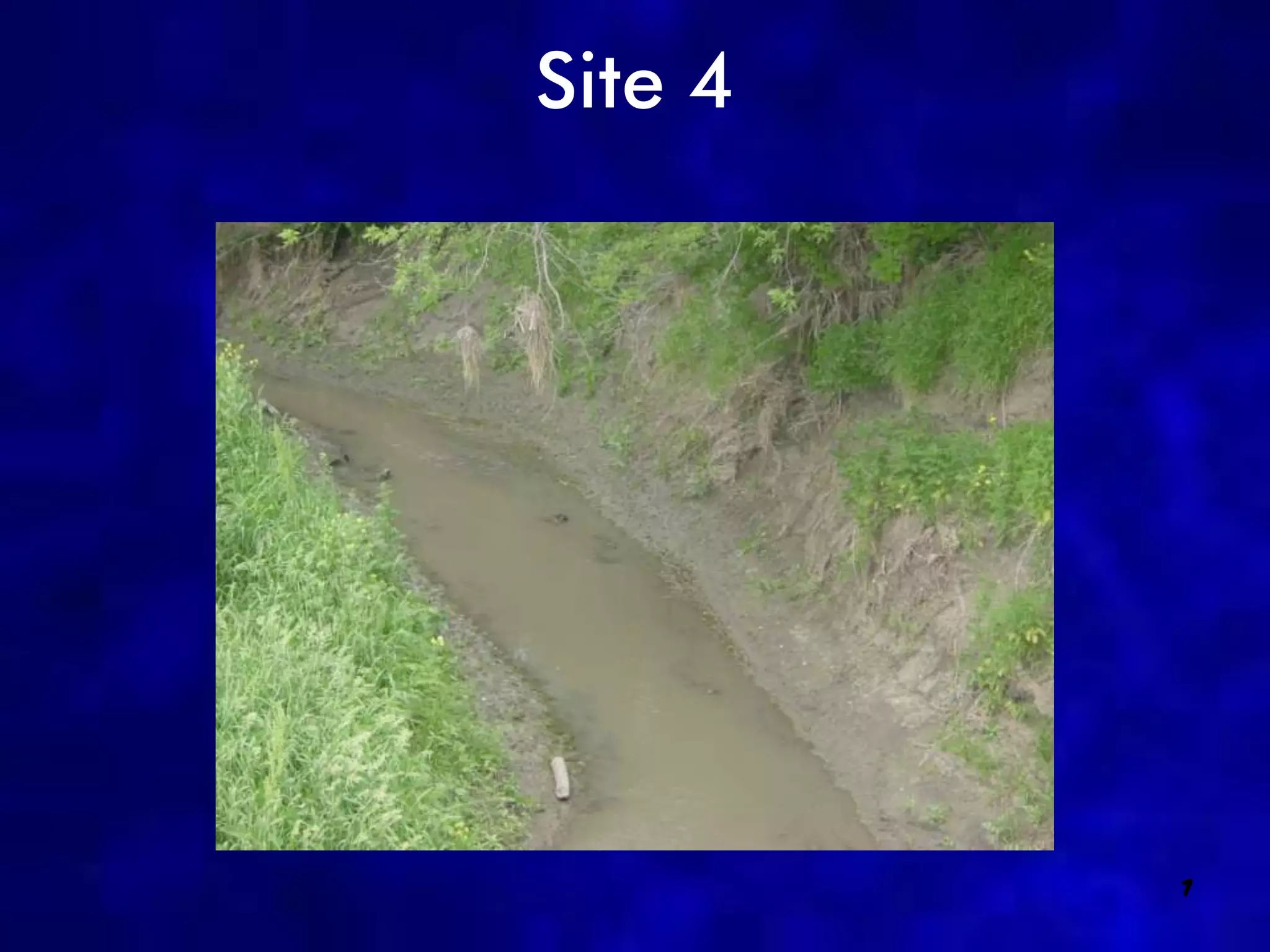 Site 4




         7
 