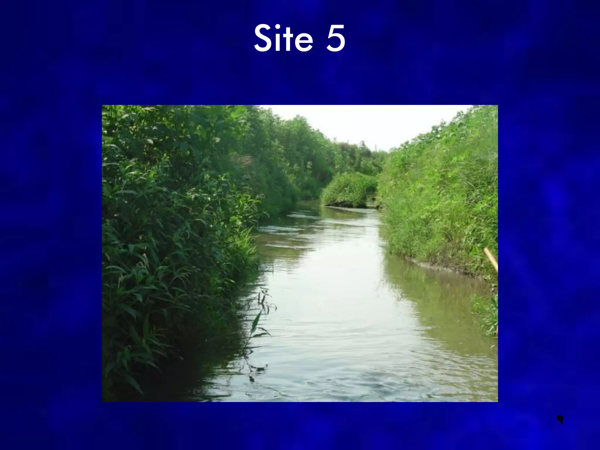 Site 5




         9
 