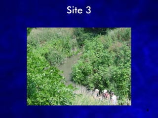 Site 3




         6
 