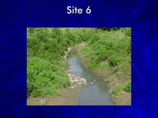 Site 6




         8
 