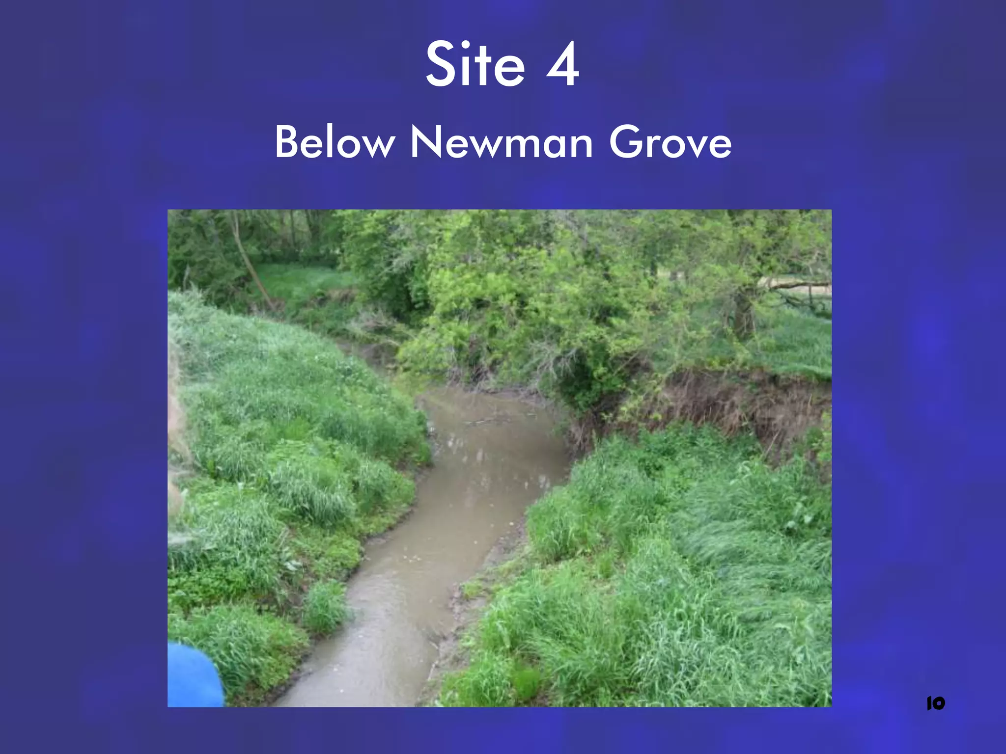 Site 4
Below Newman Grove




                     10
 