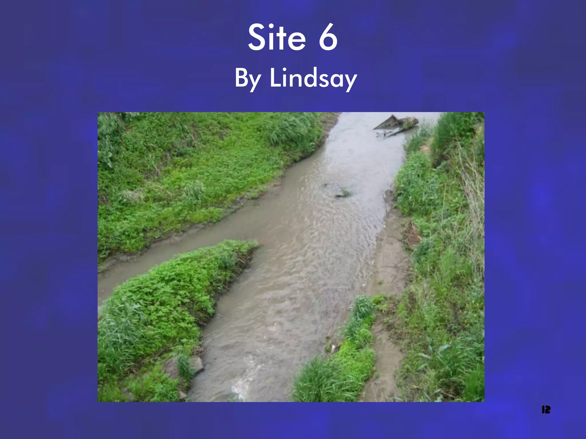 Site 6
By Lindsay




             12
 