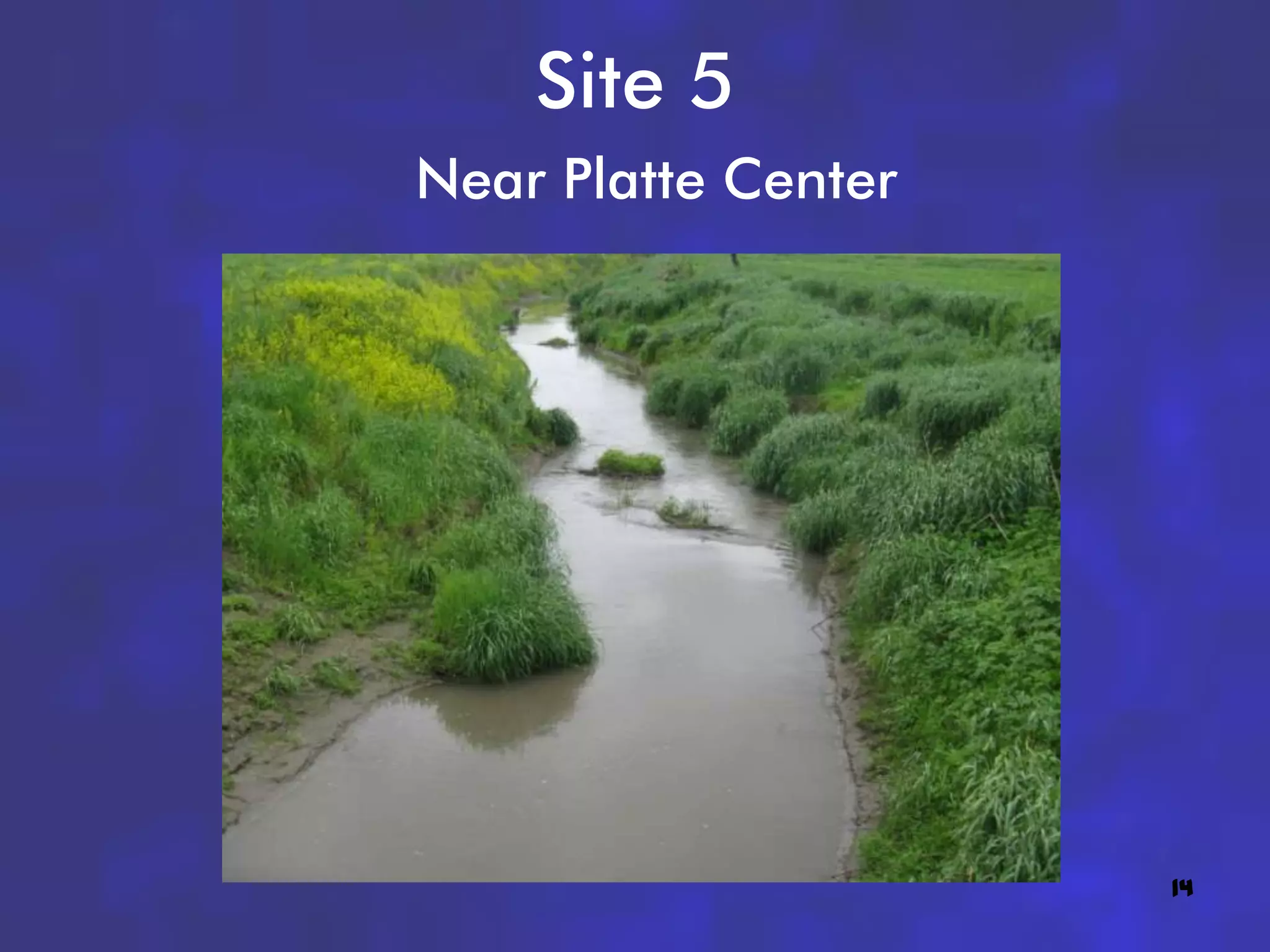 Site 5
Near Platte Center




                     14
 