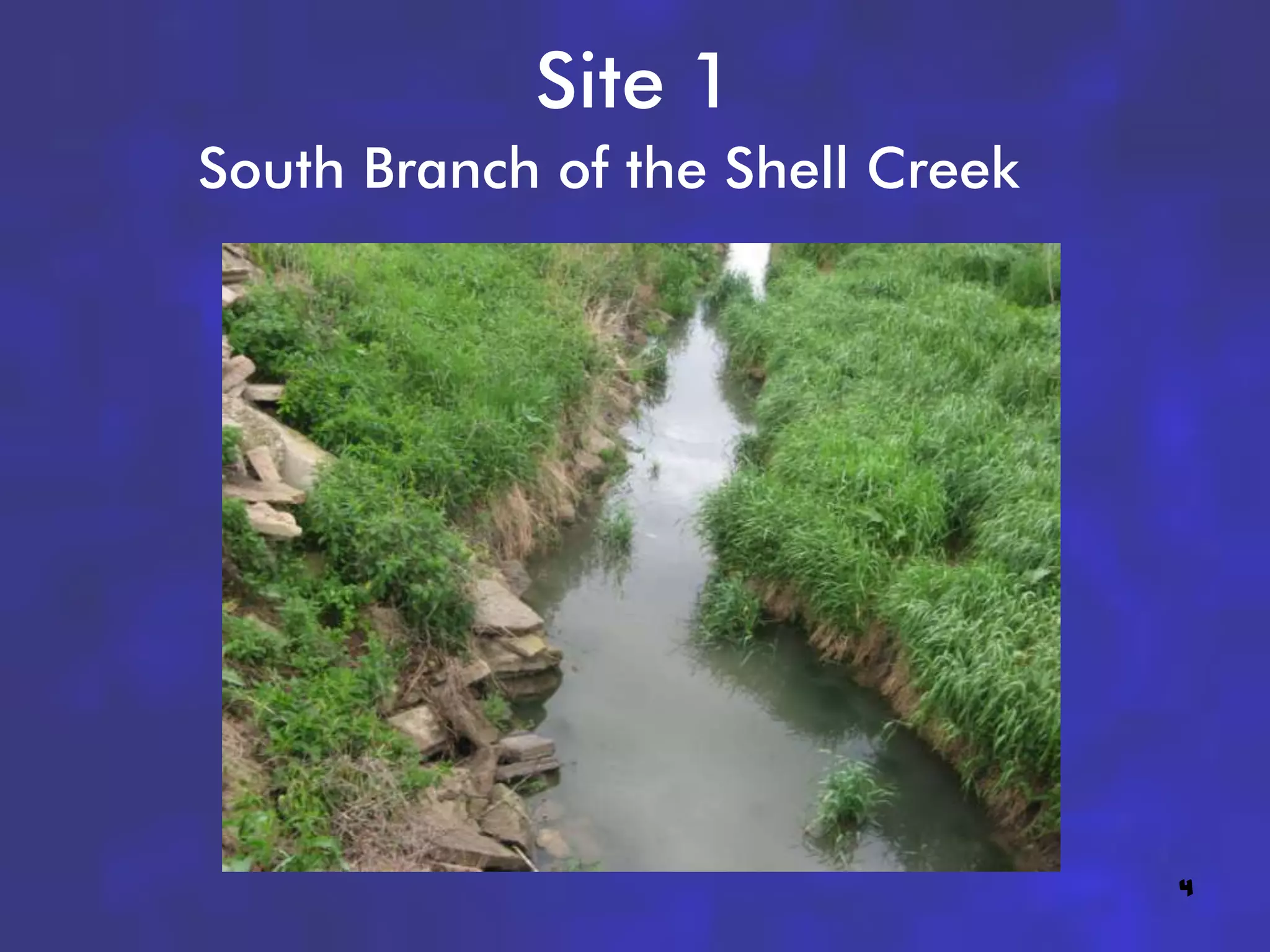 Site 1
South Branch of the Shell Creek




                                  4
 