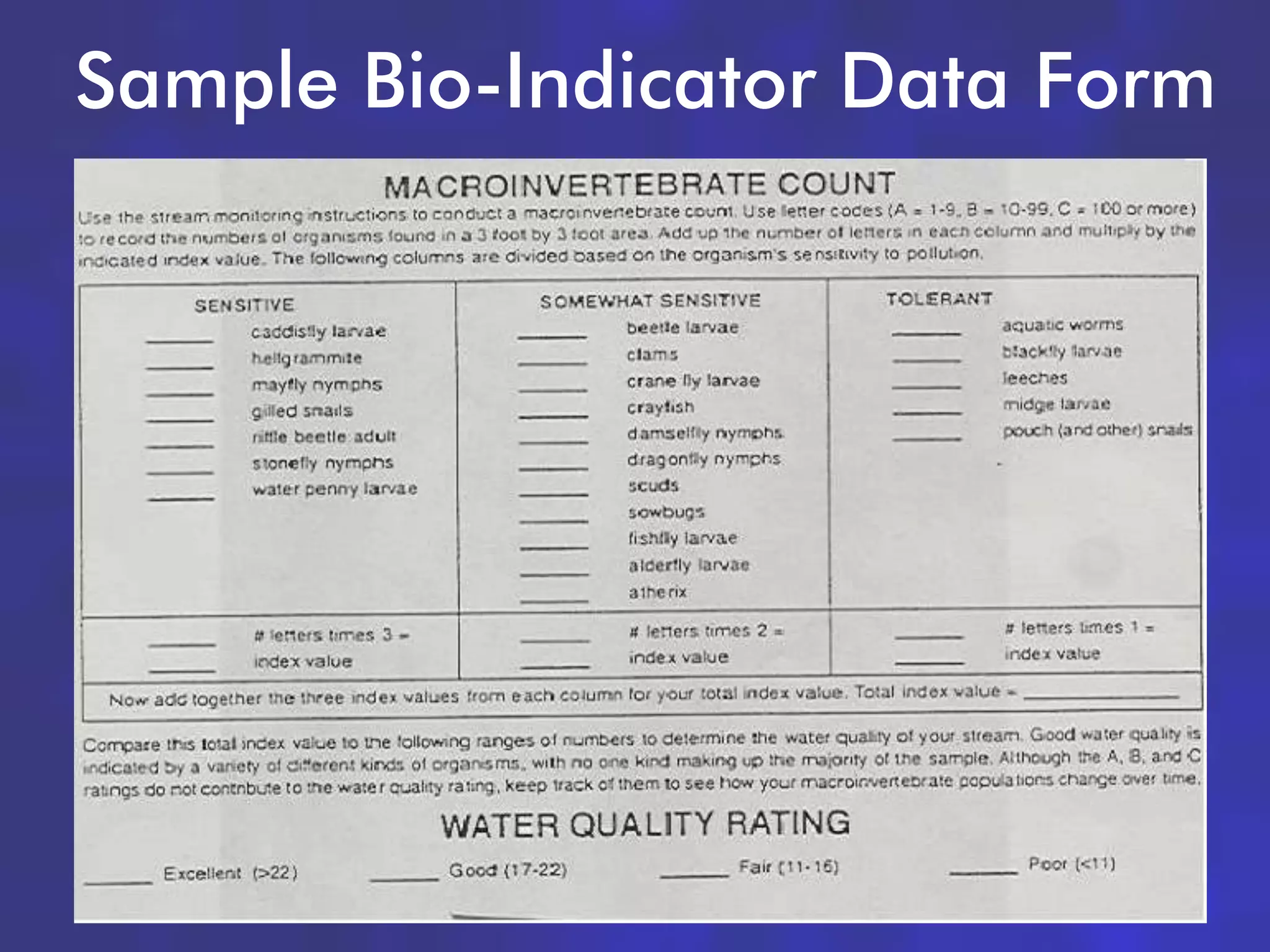 Sample Bio-Indicator Data Form




                            42
 