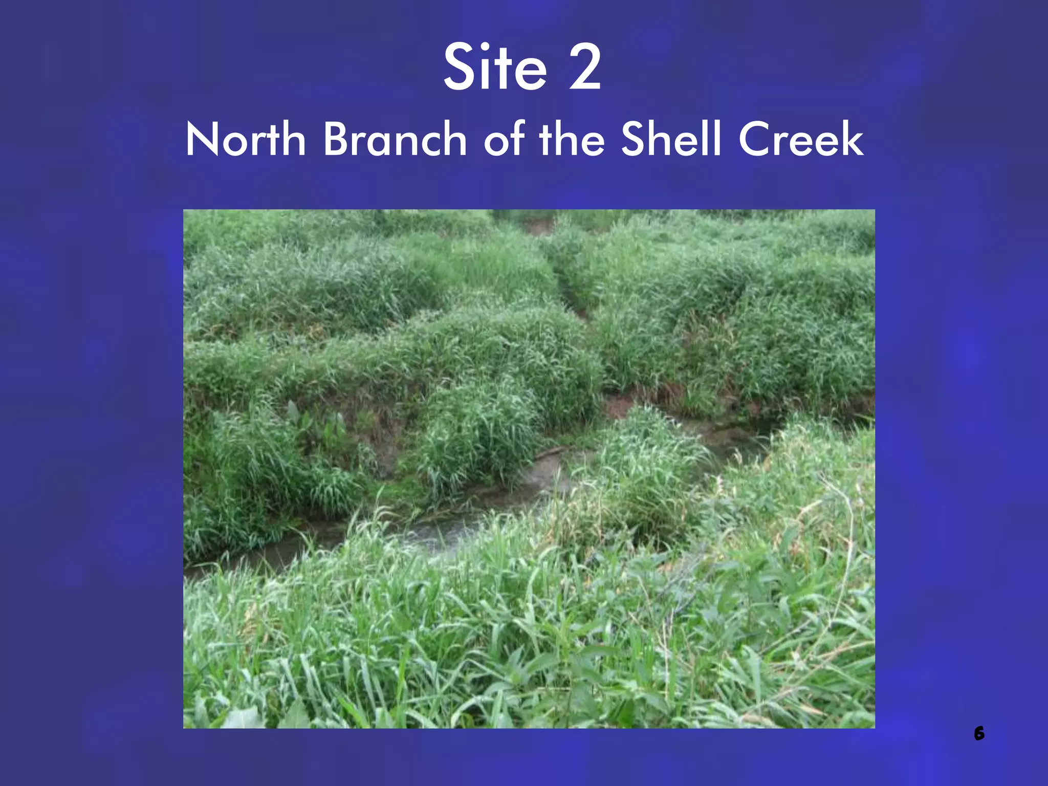 Site 2
North Branch of the Shell Creek




                                  6
 