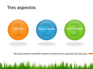Tres aspectos
De igual manera también existes muchos otros aspectos de este país.
Cultura Flora y fauna Gastronomía
 
