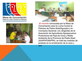En reunión convocada por la Mesa de 
Concertación para la Lucha Contra la 
Pobreza de Padre Abad/Aguaytía y la 
Comisaria Sectorial; con dirigentes de la 
Asociación de Agricultores Agropecuarios 
Productores de Hoja de Coca y Medio 
Ambiente de la Provincia de Padre Abad 
(AAAPHCMAPPA), se trató las medidas de 
protesta en la erradicación de la coca y 
que 
 