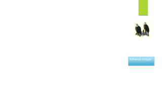 Enhance images
 