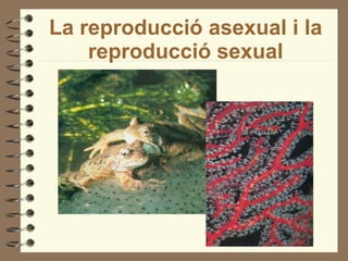 La reproducció asexual i la reproducció sexual 