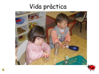 Vida pràctica 
 