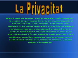 Entre els perills que amenaces a tots els internautes, però especialment als menors d'edat, la privacitat és un dels que major repercussió pot tenir per a la nostra i la seva seguretat. La intimitat i les dades personals de cada persona estan protegits per la legislació fonamental dels diversos estats, sent la seva vulneració un delicte. Dins de les accions de PantallasAmigas per sensibilitzar sobre els riscos de les NTIC per als nostres més joves internautes, oferim aquest web com a referència on començar a informar-nos sobre les amenaces per a la nostra privacitat a la Xarxa i com protegir-nos contra ells a nosaltres mateixos i als nostres fills.   La Privacitat   