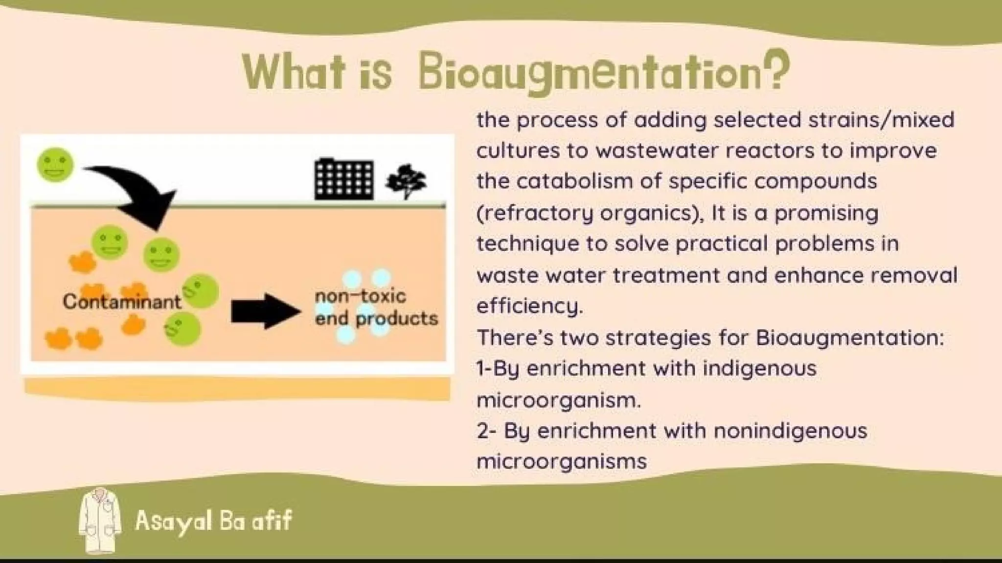 Bioremedation 