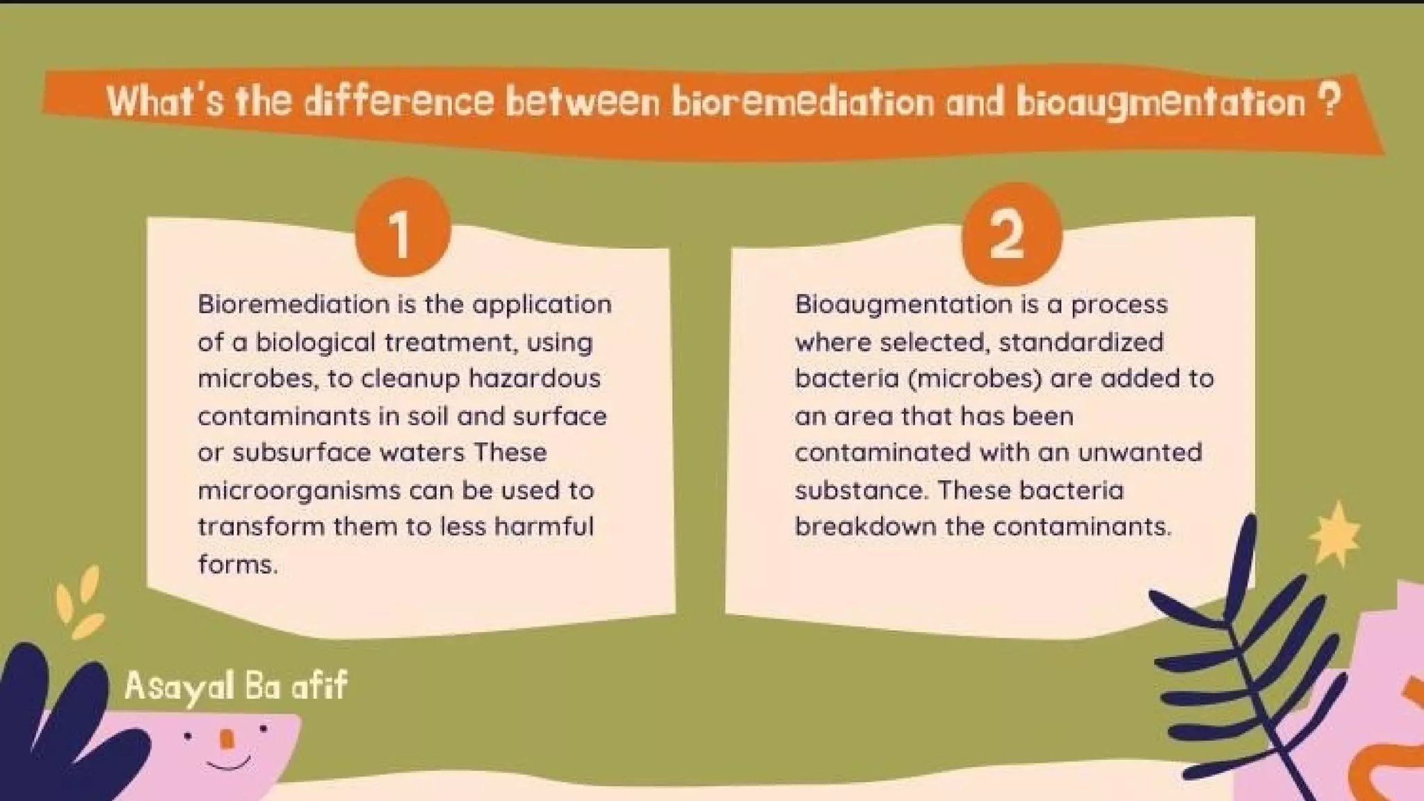 Bioremedation 