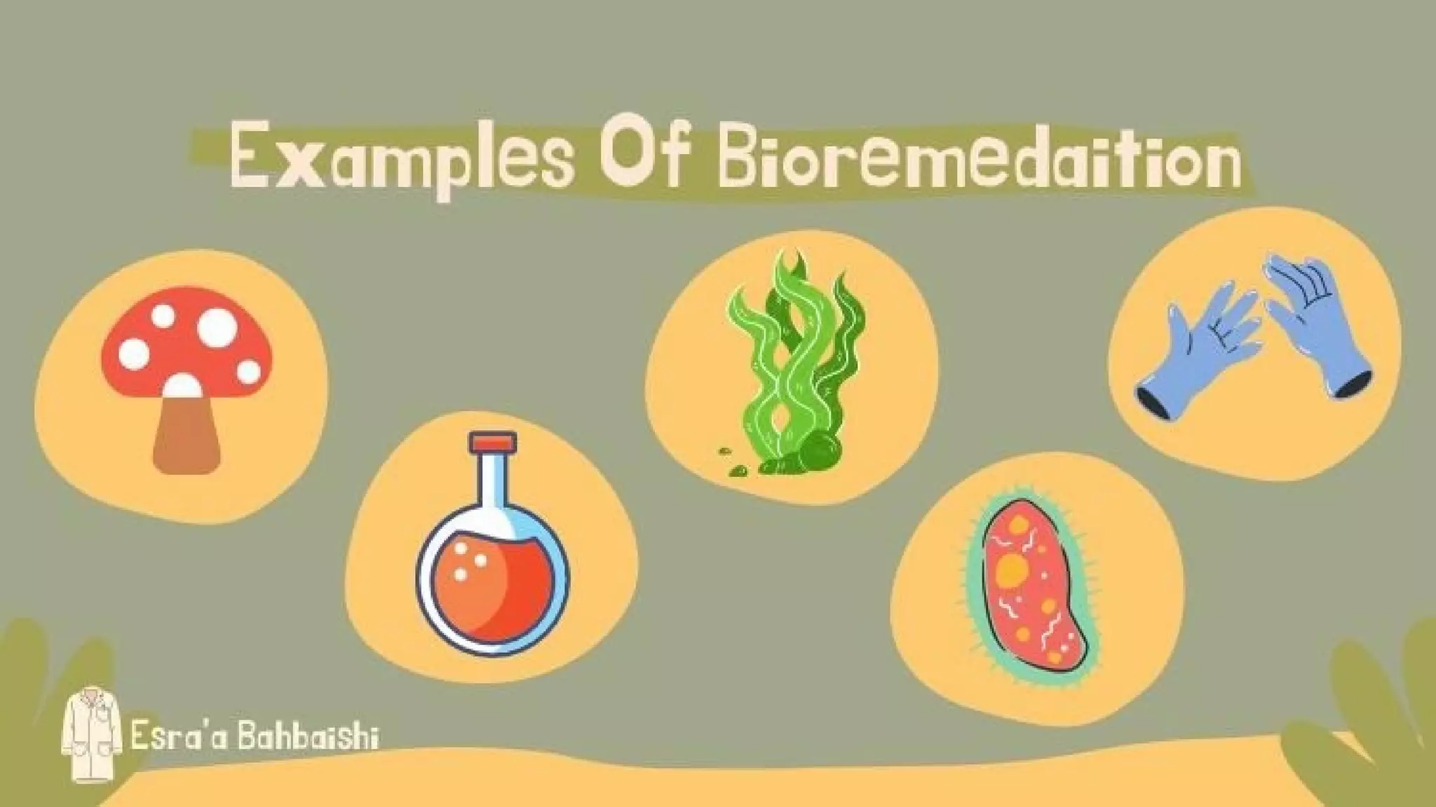 Bioremedation 