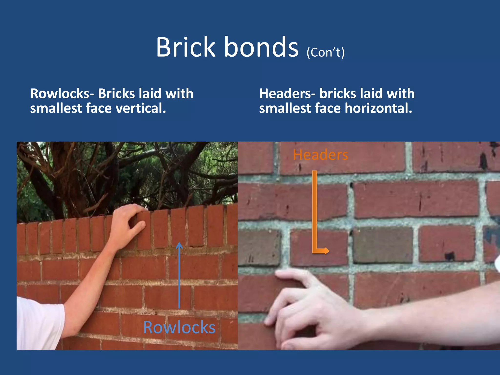 Visual Dictionary-Duct