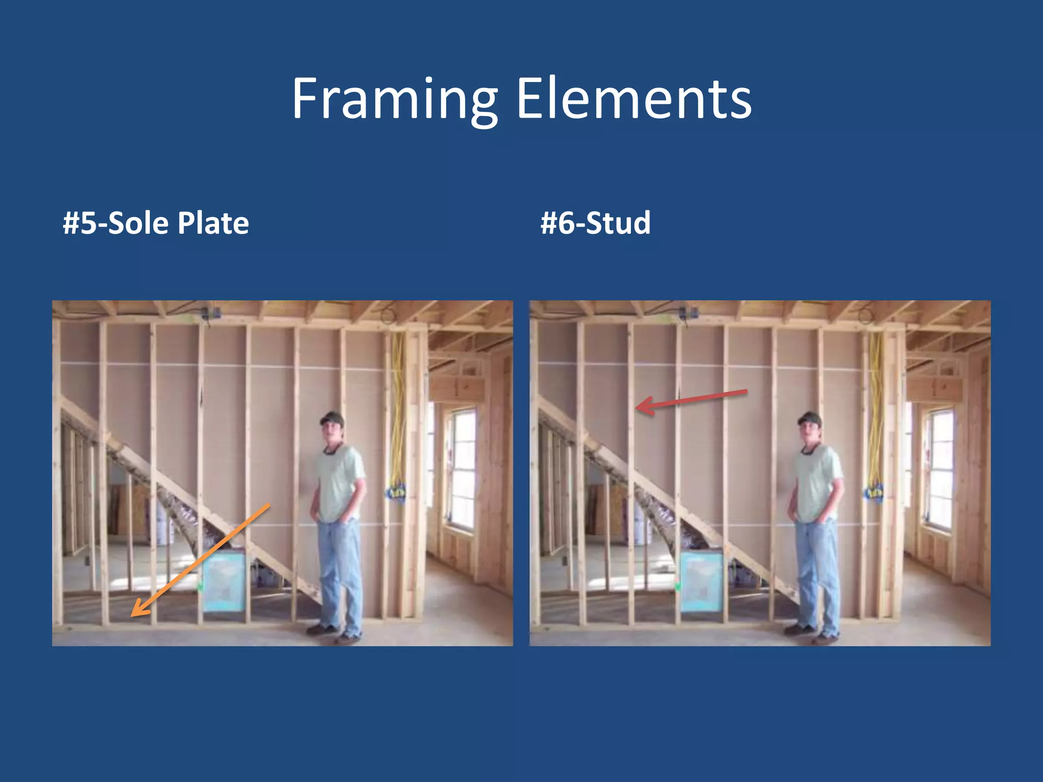 Visual Dictionary-Duct