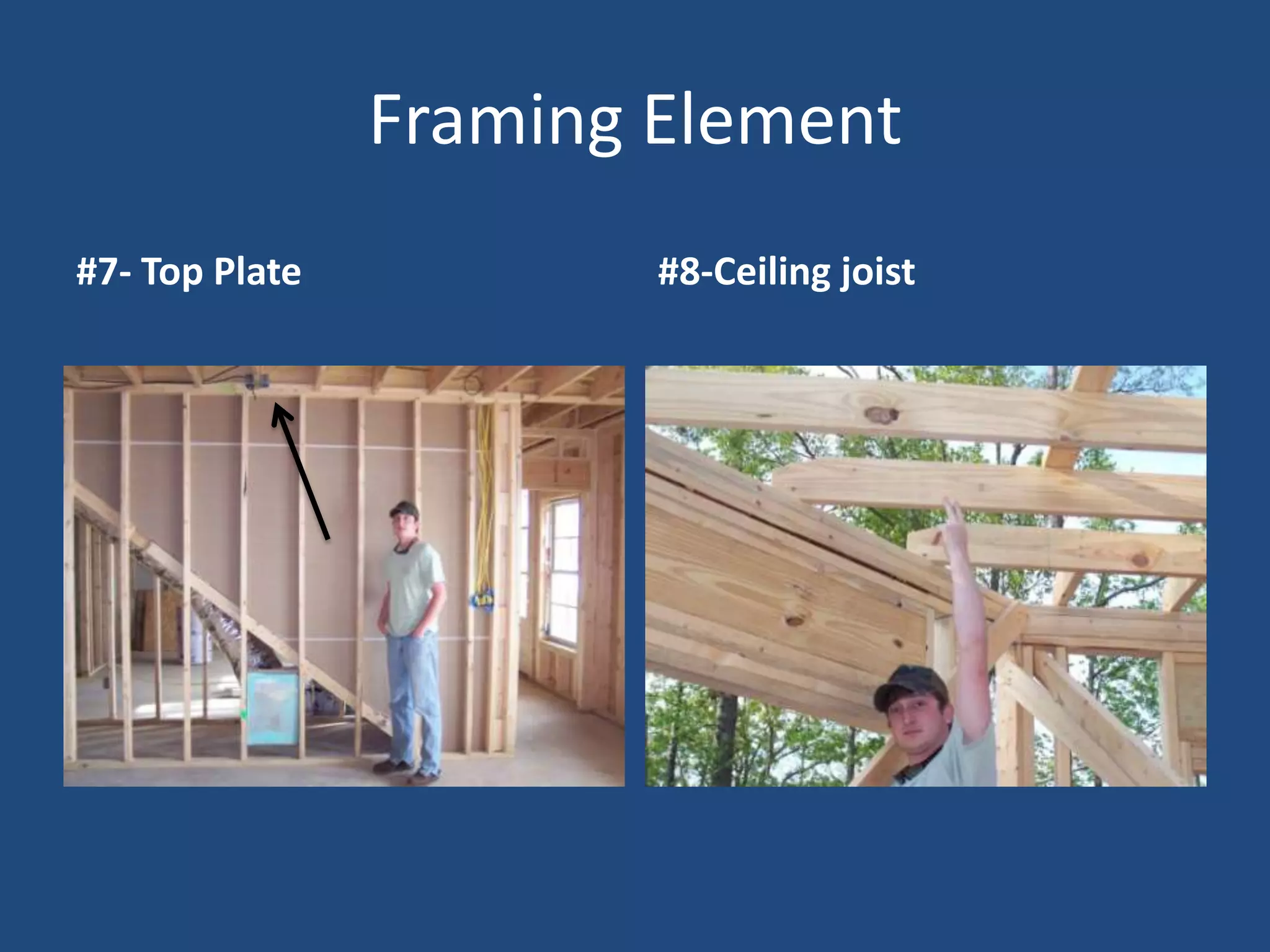 Visual Dictionary-Duct