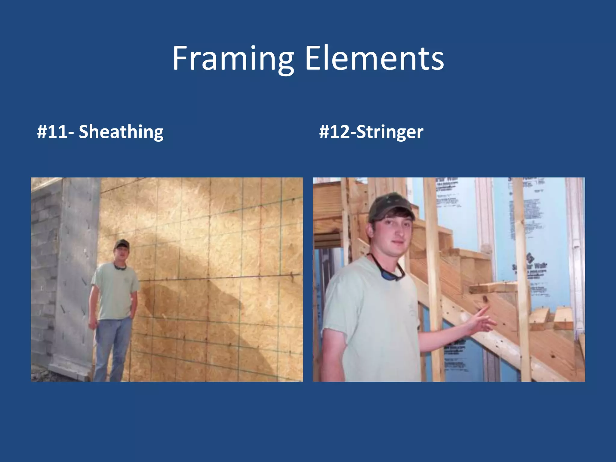 Visual Dictionary-Duct