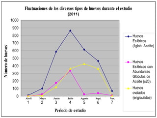Fluctuaciones de los diversos tipos de huevos durante el estudio
                                                   (2011)
                   1000
                    900
                    800                                                                      Huevos
                                                                                             Esféricos
                    700
                                                                                             (1glob. Aceite)
Número de huevos




                    600
                    500
                                                                                             Huevos
                    400                                                                      Esféricos con
                                                                                             Abundantes
                    300
                                                                                             Glóbulos de
                    200                                                                      Aceite (±20).
                    100                                                                      Huevos
                                                                                             ovalados
                      0   Abril   Mayo     Junio   Julio    Agosto   Sept.   Nov.            (engraulidae)
                           1       2        3       4         5       6       7
                                           Perìodo de estudio
 