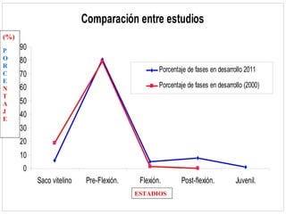 Comparación entre estudios
(%)
P              90
O              80
R
                                                            Porcentaje de fases en desarrollo 2011
C              70
E
N              60                                           Porcentaje de fases en desarrollo (2000)
T
A              50
    Estadíos




J
E
               40
               30
               20
               10
                0
                    Saco vitelino    Pre-Flexión.    Flexión.       Post-flexión.         Juvenil.
                                                    Porcentajes
                                                    ESTADIOS
 