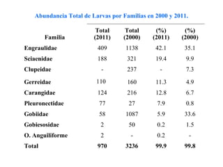 Abundancia Total de Larvas por Familias en 2000 y 2011.

                         Total     Total      (%)       (%)
        Familia         (2011)    (2000)     (2011)    (2000)
Engraulidae              409       1138       42.1      35.1
Sciaenidae               188        321       19.4       9.9
Clupeidae                 -         237        -         7.3

Gerreidae                110        160       11.3       4.9
Carangidae               124        216       12.8       6.7
Pleuronectidae            77        27        7.9        0.8
Gobiidae                  58       1087       5.9       33.6
Gobiesosidae              2         50        0.2        1.5
O. Anguiliforme           2          -        0.2            -
Total                    970       3236       99.9      99.8
 