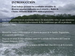 INTRODUCCIÓN
           (Este trabajo presenta los resultados obtenidos de
           diversos estudios realizados en el estuario y Bahía de
           Chame, iniciados desde 1994 hasta el presente).


Estas áreas constituyen un ecosistema único y de incalculable valor, ya que numerosas
especies dependen directa e indirectamente de las condiciones que allí se producen
(Zamarro, 1996).


Howard & Landa (1958) respecto al desove de peces de la familia Engraulidae,
(Cetengraulis mysticetus)
Desovan en zonas de baja salinidad, como en la entrada del Pacífico del Canal de
Panamá (Simpson, 1959);
Desove intenso de la anchoveta en la boca del Río Juan Díaz (D´Croz & Kwiecinski,
1980).
 