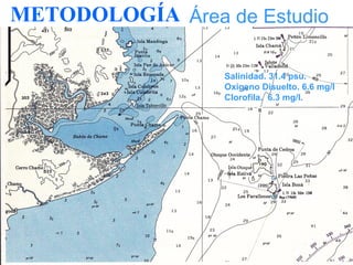METODOLOGÍA Área de Estudio

                  Salinidad. 31.4 psu.
                  Oxigeno Disuelto. 6.6 mg/l
                  Clorofila. 6.3 mg/l.
 