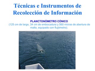 Técnicas e Instrumentos de
   Recolección de Información
                  PLANCTONÓMETRO CÓNICO
(125 cm de largo, 34 cm de embocadura y 560 micras de abertura de
                  malla, equipado con flujómetro).
 