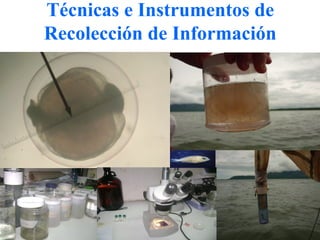Técnicas e Instrumentos de
Recolección de Información
 