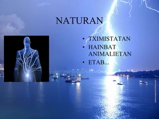 NATURAN TXIMISTATAN HAINBAT ANIMALIETAN ETAB... 