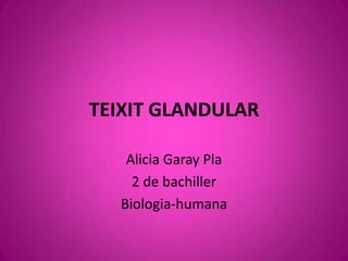 TEIXIT GLANDULAR Alicia Garay Pla 2 de bachiller Biologia-humana 