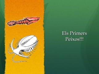 Els PrimersEls Primers
Peixos!!!Peixos!!!
 