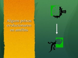Alguns peixosAlguns peixos
evolucionarenevolucionaren
en amfibisen amfibis
 