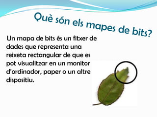 Quèsónelsmapes de bits?Un mapa de bits és un fitxer de dades que representa una reixeta rectangular de que es pot visualitzar en un monitor d’ordinador, paper o un altre dispositiu.