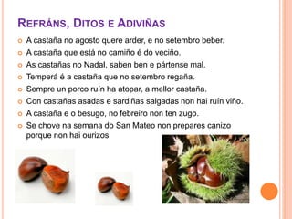 REFRÁNS, DITOS E ADIVIÑAS 
 A castaña no agosto quere arder, e no setembro beber. 
 A castaña que está no camiño é do veciño. 
 As castañas no Nadal, saben ben e pártense mal. 
 Temperá é a castaña que no setembro regaña. 
 Sempre un porco ruín ha atopar, a mellor castaña. 
 Con castañas asadas e sardiñas salgadas non hai ruín viño. 
 A castaña e o besugo, no febreiro non ten zugo. 
 Se chove na semana do San Mateo non prepares canizo 
porque non hai ourizos 
 