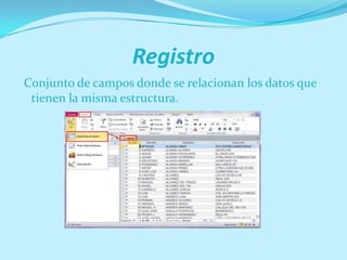 Registro
Conjunto de campos donde se relacionan los datos que
tienen la misma estructura.
 