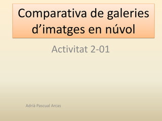Comparativa de galeries
  d’imatges en núvol
              Activitat 2-01




 Adrià Pascual Arcas
 