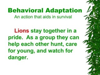 Behavioral Adaptation
An action that aids in survival
Lions stay together in a
pride. As a group they can
help each other hunt, care
for young, and watch for
danger.
 