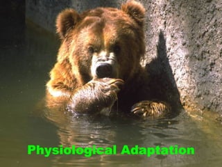 Physiological Adaptation
 