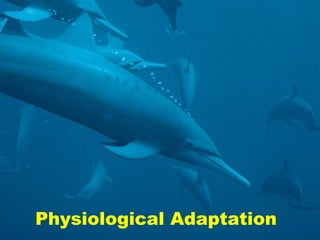 Physiological Adaptation
 