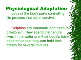 Physiological Adaptation
Jobs of the body parts controlling
life process that aid in survival.
Dolphins are mammals and need to
breath air. They spend their entire
lives in the water and their body’s have
adapted so that they can hold their
breath for several minutes.
 
