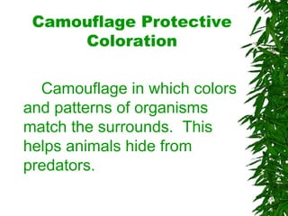 Camouflage Protective
Coloration
Camouflage in which colors
and patterns of organisms
match the surrounds. This
helps animals hide from
predators.
 