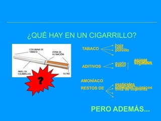 ¿QUÉ HAY EN UN CIGARRILLO?
                        hoja
             TABACO     tallo
                        polvillo

                                   azúcar
                                   mentol
                        gusto      extractos
                                   vegetales
             ADITIVOS   sabor



  ?         AMONÍACO
                        pesticidas
                        fungicidasquímicos
                        solventes
            RESTOS DE   tinta de imprenta




                PERO ADEMÁS...
 