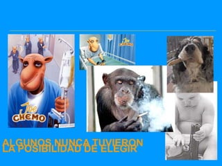 ALGUNOS NUNCA TUVIERON
LA POSIBILIDAD DE ELEGIR
 